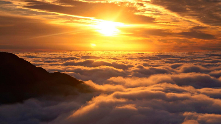 Marketplace Daily Devotional 20 May 2025