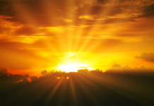 Daily Devotional 19 May 2026